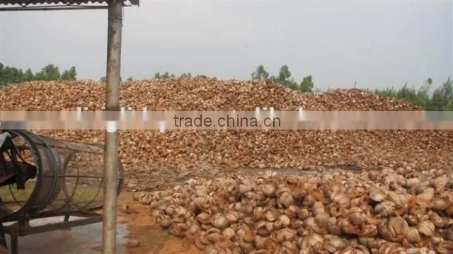 Coir Pith Dryer Coco peat Dryer Coco Block Dryer Coco pith dryer coir peat coir clock drier bagasse