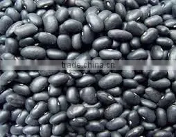 black beans new crop