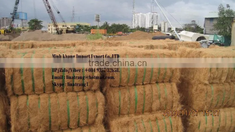 Coconut Fiber (QQ : 2598494113)