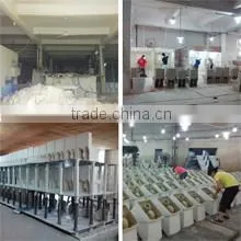 Chaozhou Pishon Ceramics Co., Ltd. company overview - view 2