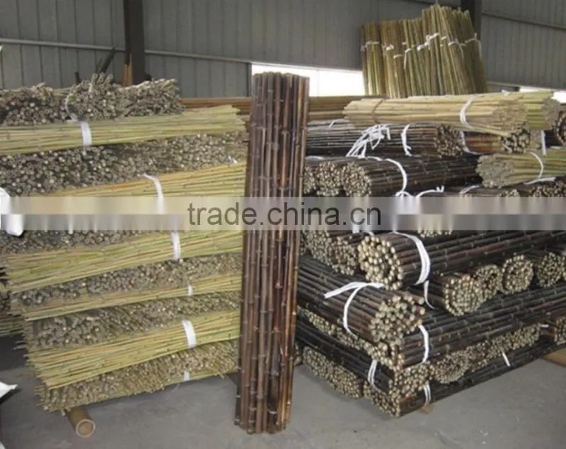 Bamboo poles and Bamboo bent pole