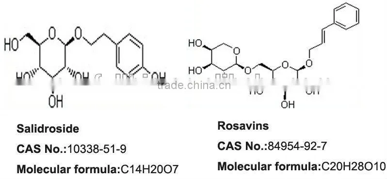 natural Rhodiola rosea extract