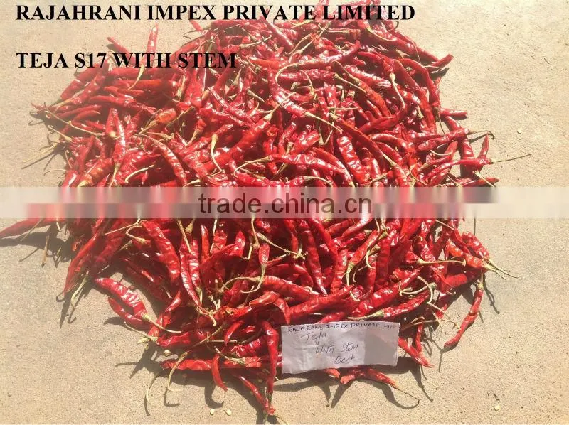 Sannam S4 Indian Dry Red Chilli From India