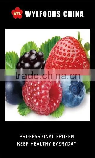 IQF frozen balck currant hot sale 2015