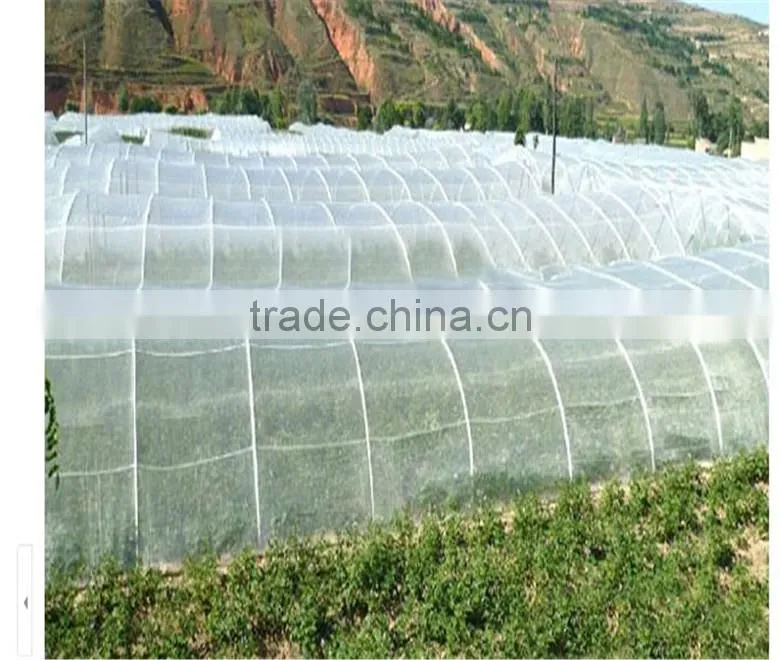 China factory hdpe vegetable insect net , nylon fruit anti insect net , plastic agricultural greenhouse anti insect proof net