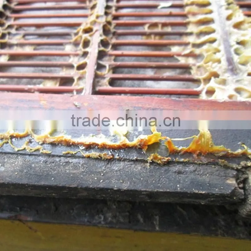 Zorue wholesale TOP 1 bee propolis content 30% ,40% bee propolis tablet