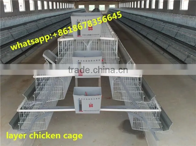 Bird cages quail battery cages quail cage