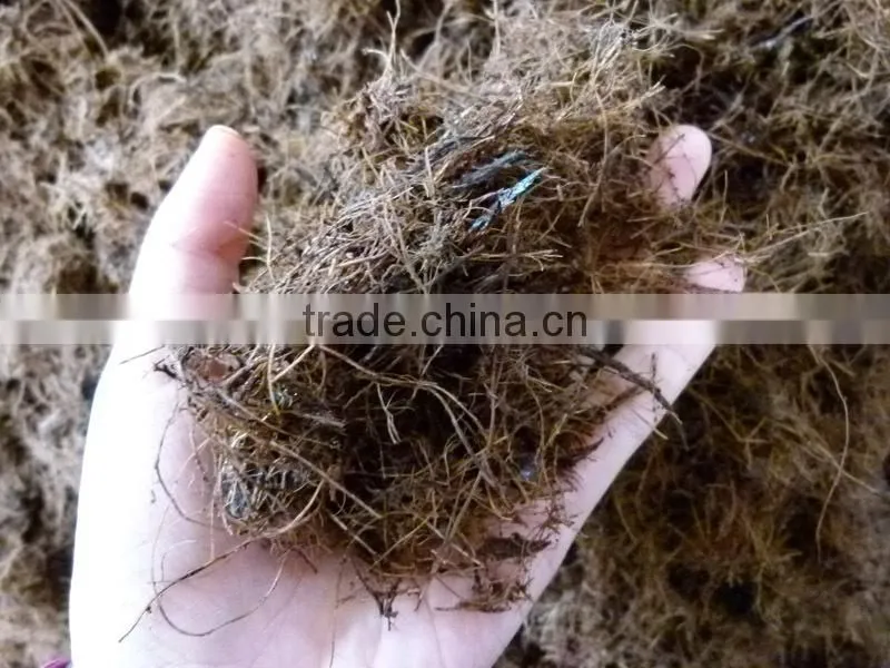 coconut shell and oil palm efb shredder 132KW