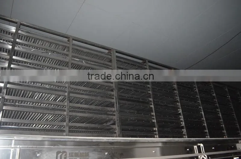 Thyme Multiple layer continuous type mesh belt dryer