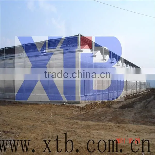 Glass Greenhouse for Agricultural