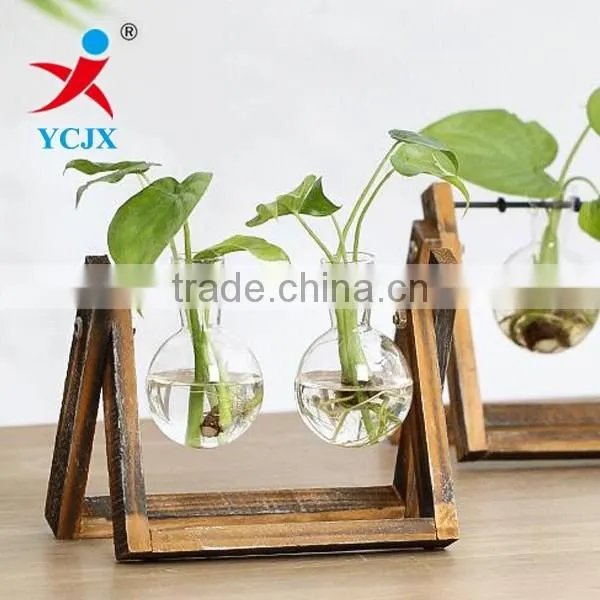 Hanging Clear Glass Plant Terrarium with Wooden Base