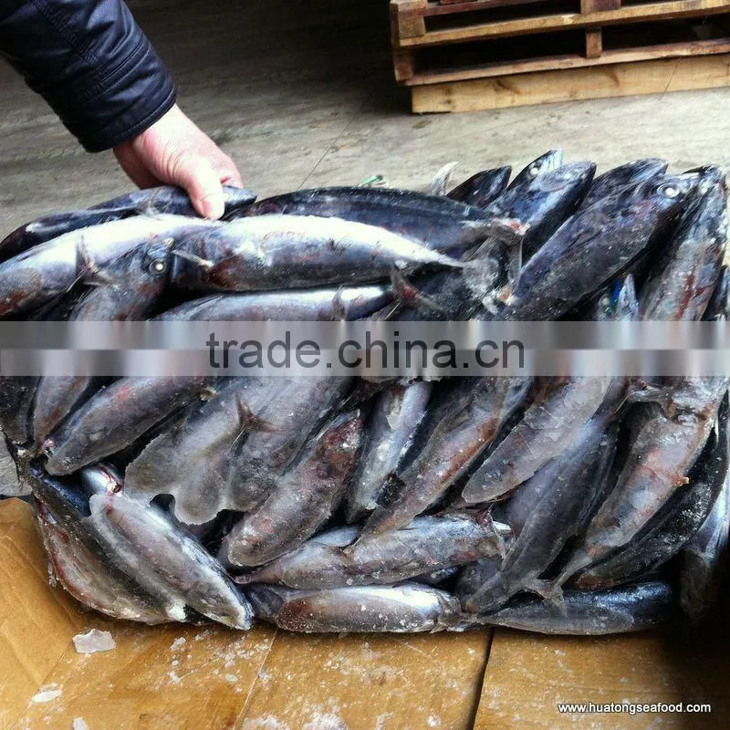 frozen bonito fish 150-200g
