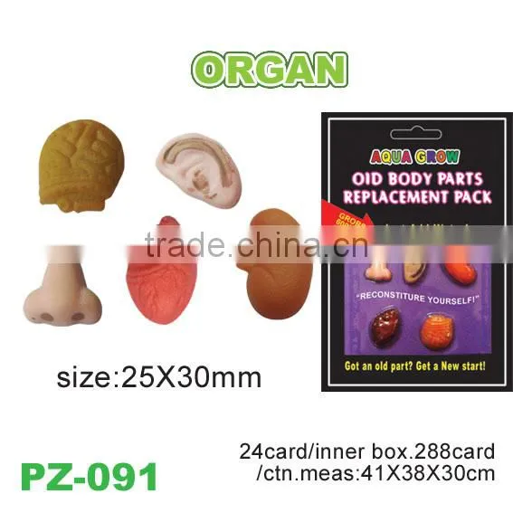 Magic Water Grow Skull Toys