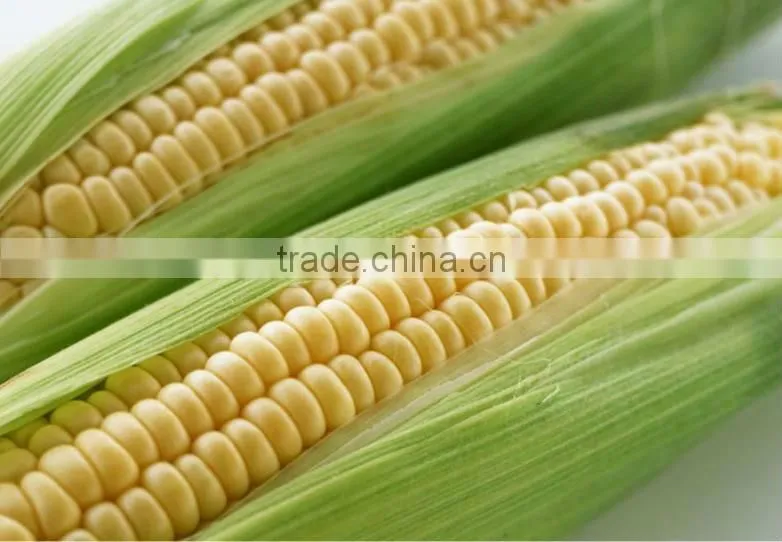 PLA