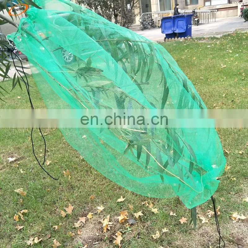 80x100cm,70x90cm green monofilament HDPE date tree date palm mesh net bag with black drawstrings