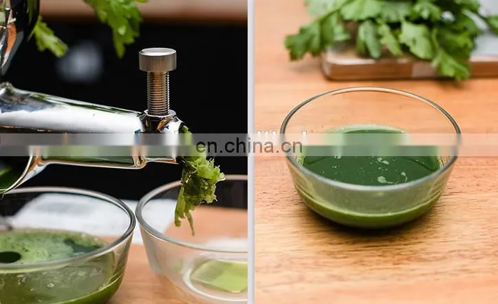 Wholesale price wheatgrass juicer for sale