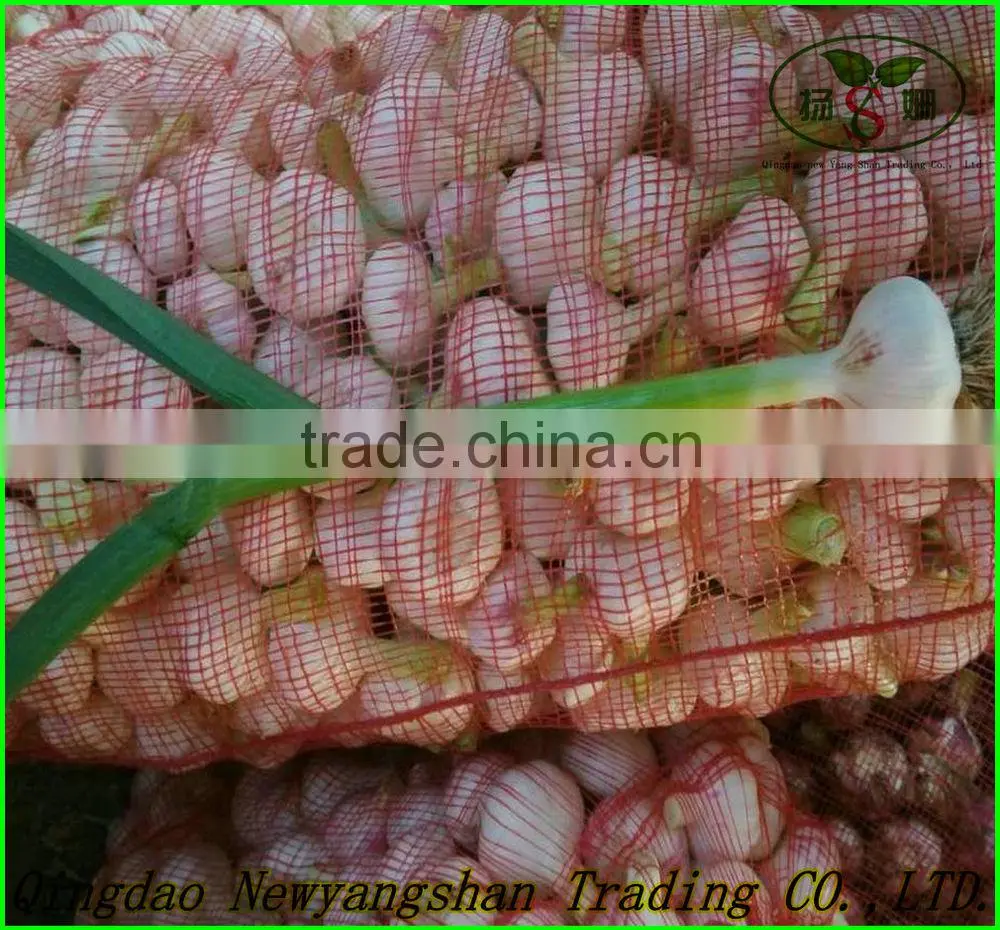 (NEW) 2015 FRESH Garlic/New Garlic;HOT! HOT! HOT!