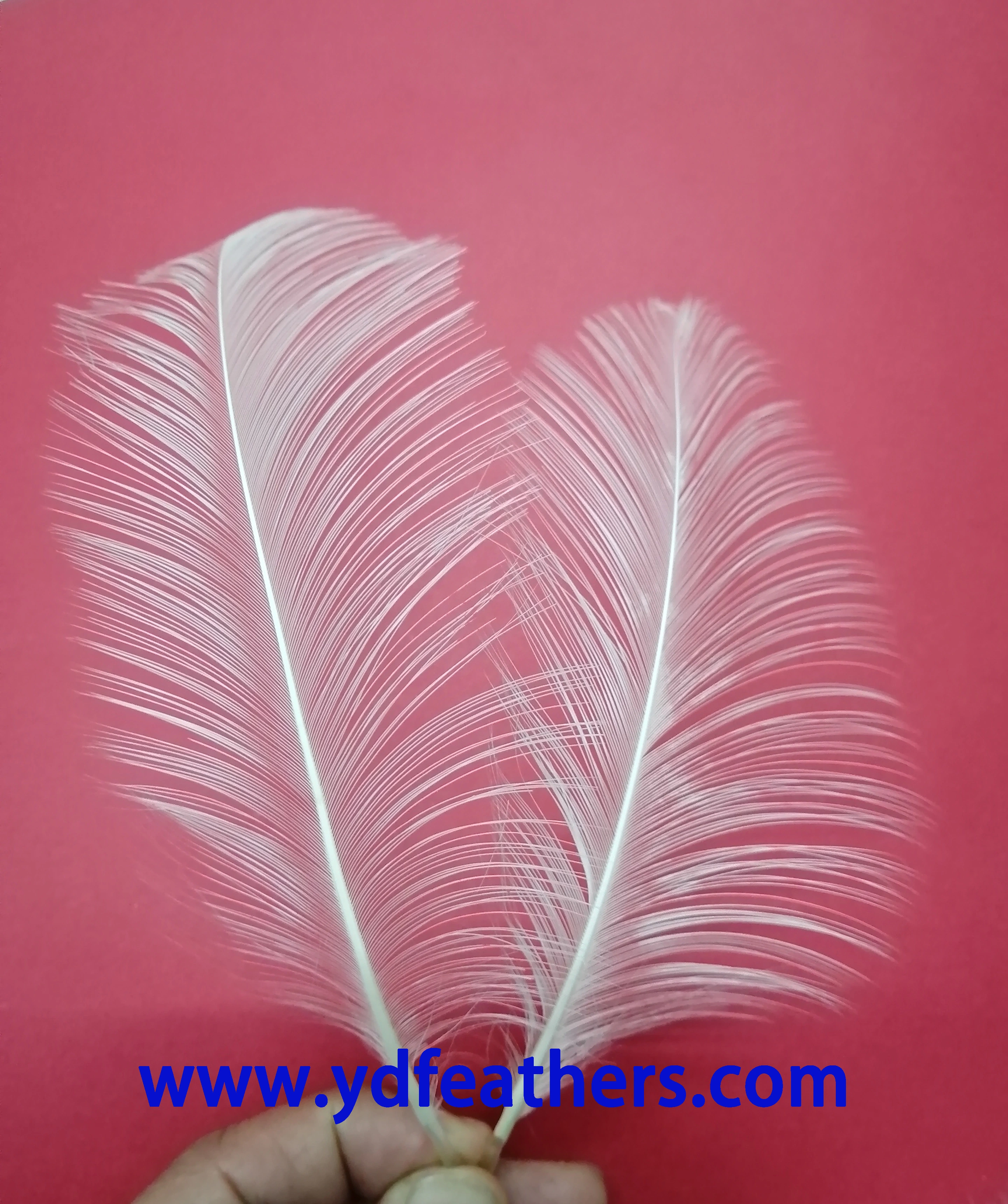 Changshu Bixi Electrostatic Coating Equipment Factory company overview - view 2
