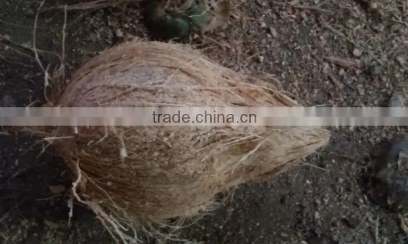 123 Nature coconuts with good taste