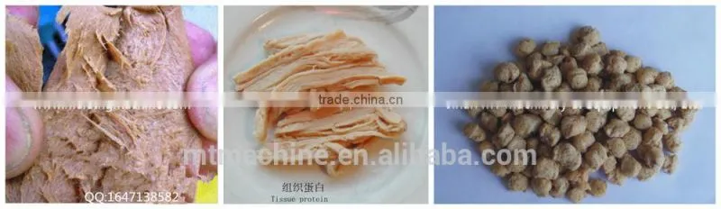 twin screw soybean protein machine in China