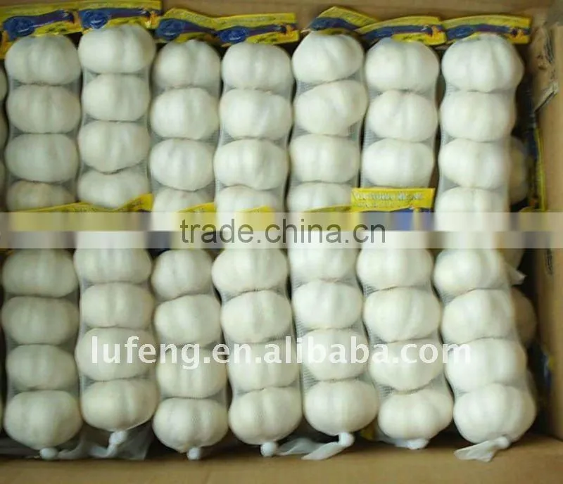 New Crop 2011 White Garlic