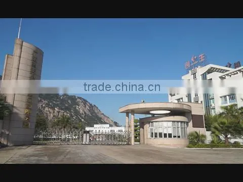 Chuangsheng Stainless Steel Co., Ltd. Guangdong company overview - view 1