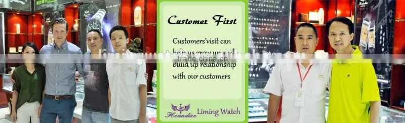 2016 Customized logo watch skeleton,custom customized logo watch,business automatic watch