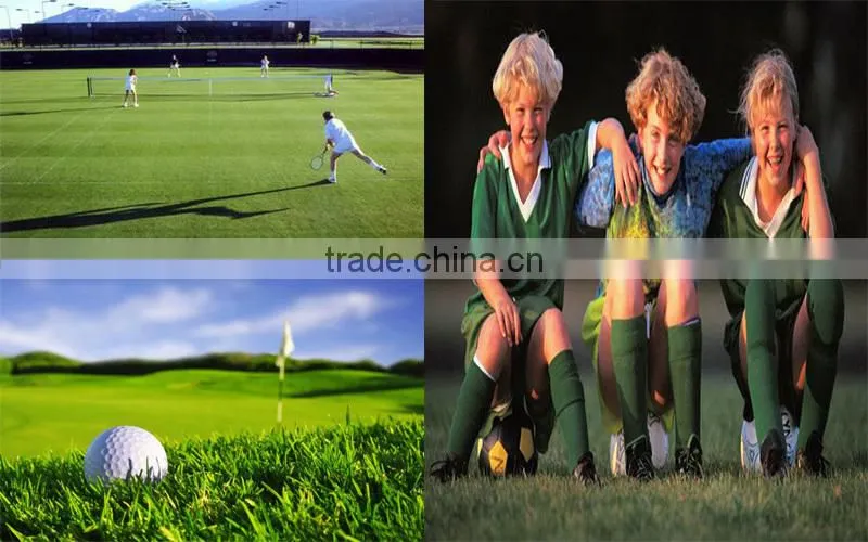 natural looking soccer thiolon PE artificial grass