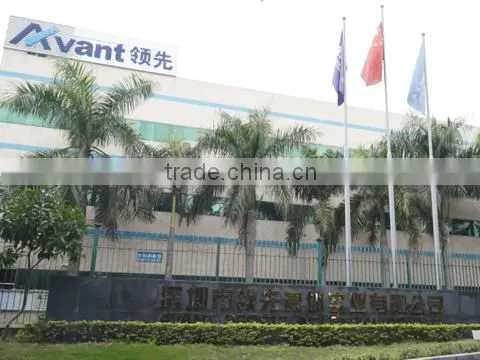 Avant Sports Industrial Co., Ltd. company overview - view 1