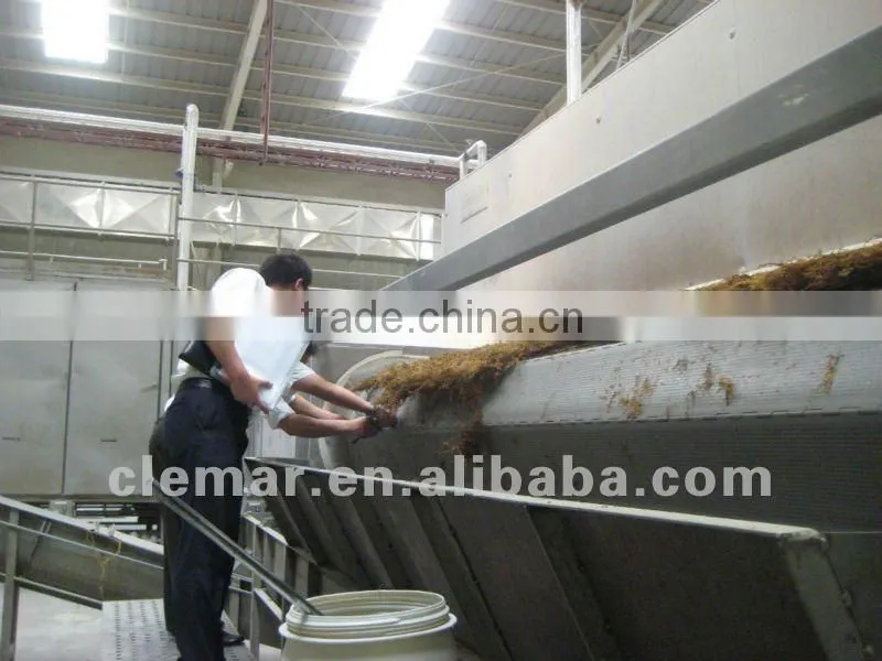 Sweet potato mesh belt dryer