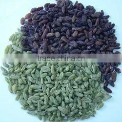 China red raisin