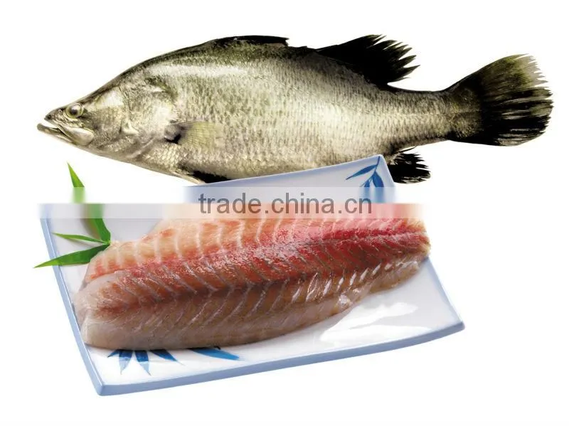 Frozen Barramundi Fillet