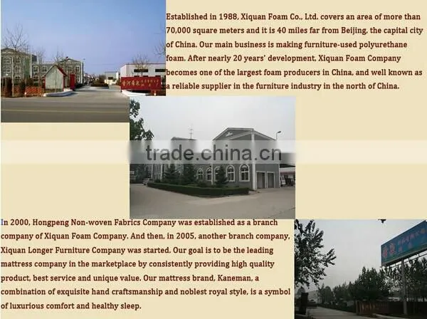 Vacuum compress packing Aloe Vera memory foam mattress