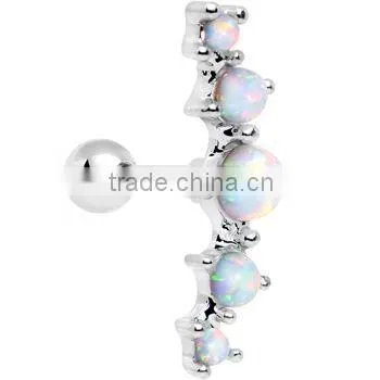 Surgical stainless steel jewelry tragus piercing earring plugs stud ear cartilage earrings jewelry fashion earrings