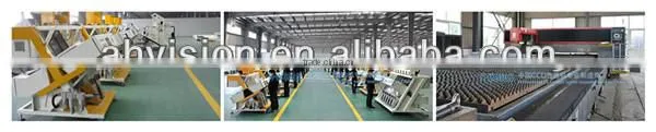Chain Manufactured CE certificated high quality belt type garlic sorting machine