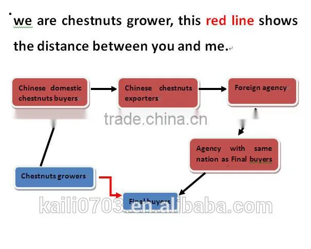 2015 new crop cut frozen chestnuts