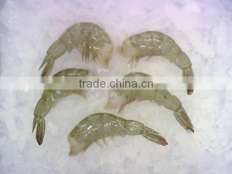 Frozen Shrimp Price