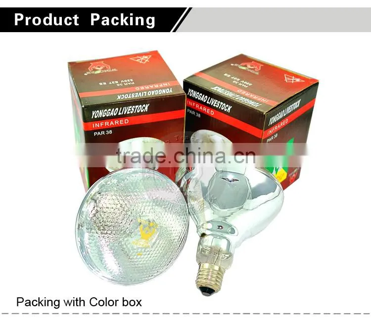 Poultry equipment infrared heating lamp for chicken / piglets