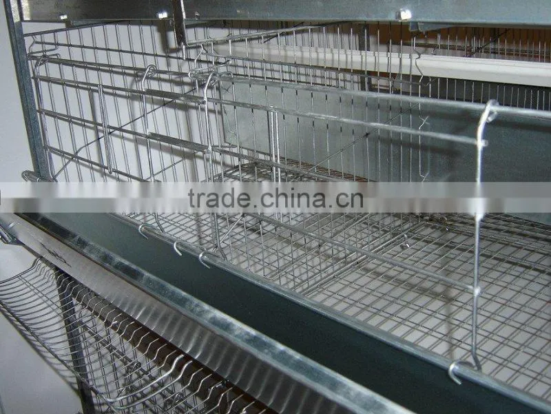 poultry farm layer cage(3 tiers)