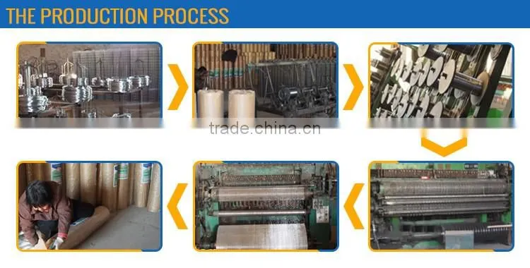 hign quality galvanized welded wire mesh
