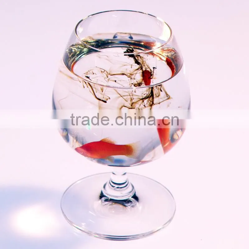 2017 presale kelp seaweed extract powder in good price