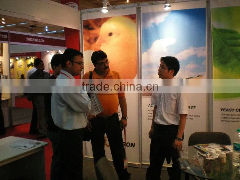 Fubon Inactive Dried Yeast Powder For Animal Nutrition