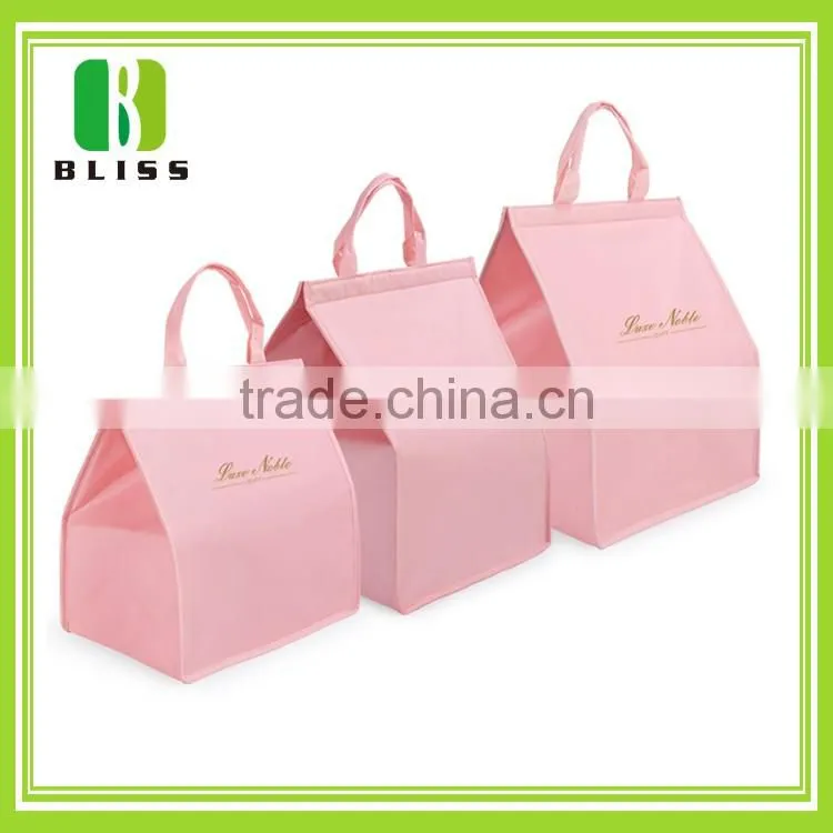 High quality insulated reusable ice cream cooler bag