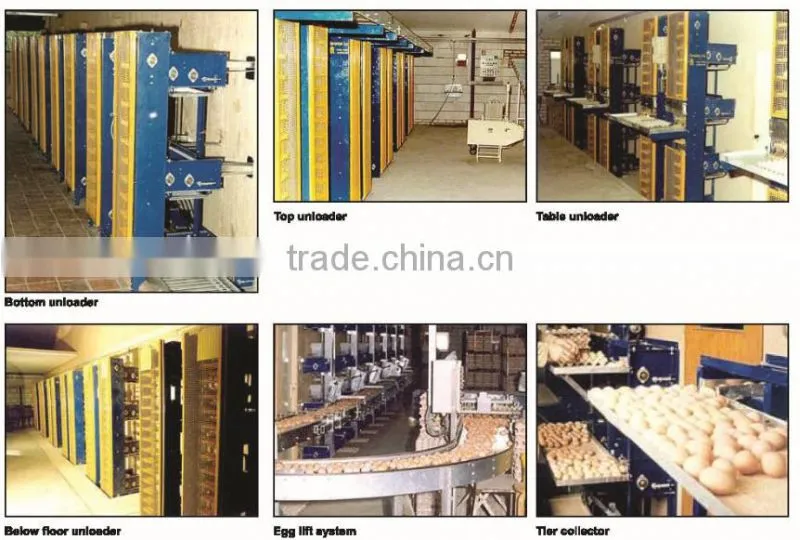 Poultry Equipments