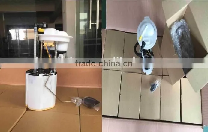 Fuel Pump ASSEMBLY for Peugeot 0580303027/9637812180/96313600