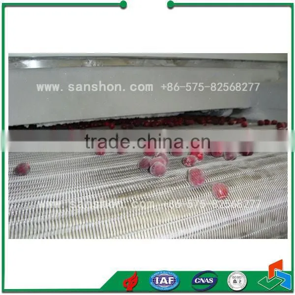 IQF Blast Freezing Vegetable Freezing Machine Quick Freezer