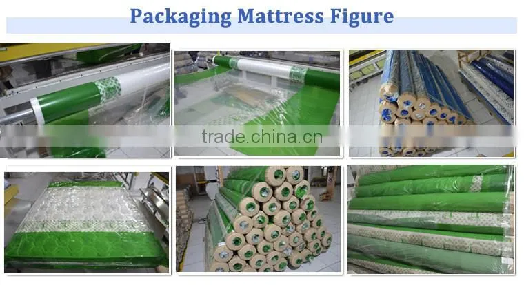 big size LDPE film color printing/packing plastic printed bag