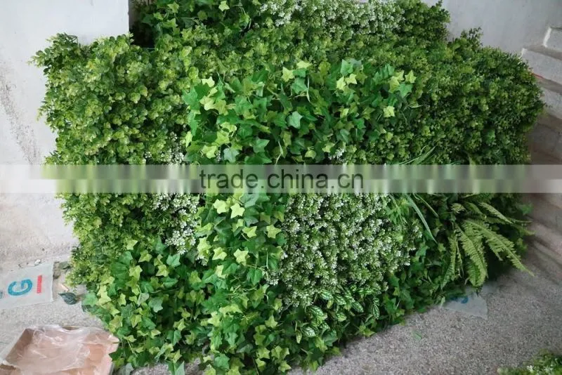 Export outdoor wall plants decoration