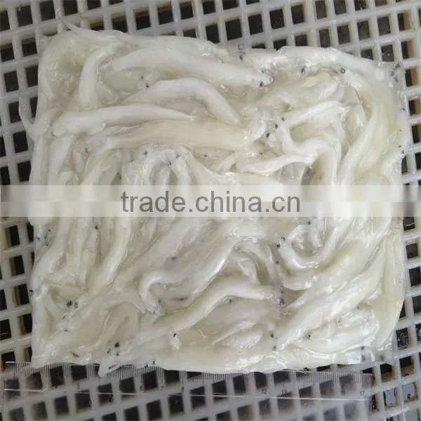 silver fish and frozen with fish