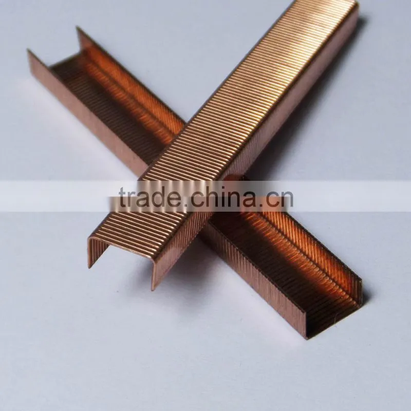 Office quality mini coppered staples 6/4